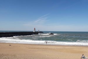 Porto Riverbank Tour på en elcykel: Atlantkusten, trädgårdar