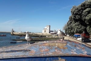 Porto Riverbank Tour på en elcykel: Atlantkusten, trädgårdar