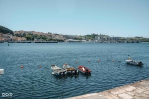Porto Riverbank Tour på en elcykel: Atlantkusten, trädgårdar