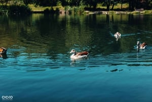 Porto Riverbank Tour på en elcykel: Atlantkusten, trädgårdar