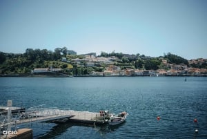 Porto Riverbank Tour på en elcykel: Atlantkusten, trädgårdar