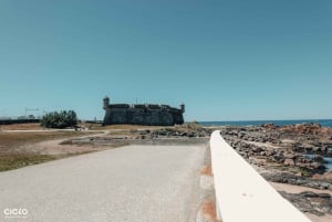 Porto Riverbank Tour på en elcykel: Atlantkusten, trädgårdar