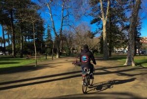 Porto: Riverside Panoramic Bike Tour