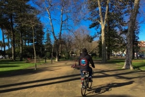Porto: Riverside Panoramic E-Bike Tour