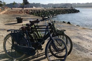 Porto: Riverside Panoramic E-Bike Tour