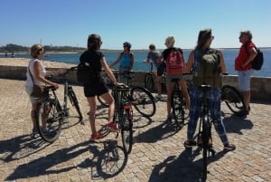 Porto: Riverside Panoramic E-Bike Tour