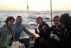 Porto : Croisière privée de 3 heures sur le fleuve Douro