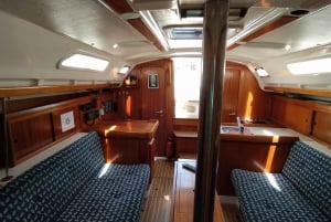 Porto : Croisière privée de 3 heures sur le fleuve Douro