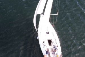 Porto : Croisière privée de 3 heures sur le fleuve Douro