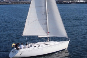 Porto : Croisière privée de 3 heures sur le fleuve Douro