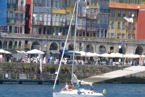 Porto : Croisière privée de 3 heures sur le fleuve Douro