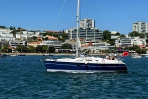 Porto: gedeelde dagtour, met drankjes en snacks