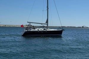 Porto: gedeelde dagtour, met drankjes en snacks