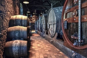 Porto: Tour autoguidato in bicicletta e in barca con degustazione di vini di Porto