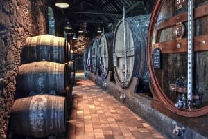 ポルトポートワインの試飲と自転車とボートのセルフガイド・ツアー