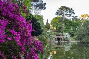 ポルト：セラルヴェス財団オールアクセスパス