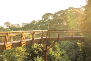 ポルト：セラルヴェス財団オールアクセスパス