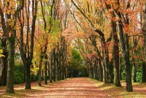 Porto : Passeport d'accès à la Fondation Serralves