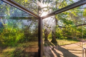 Porto : Passeport d'accès à la Fondation Serralves