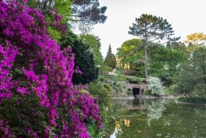 Porto : Passeport d'accès à la Fondation Serralves