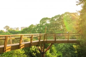 Porto : Passeport d'accès à la Fondation Serralves