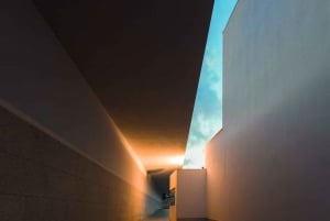 Porto : Passeport d'accès à la Fondation Serralves