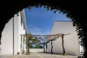 Porto : Passeport d'accès à la Fondation Serralves