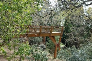 Porto : visite à pied des jardins de Serralves, entre art et architecture