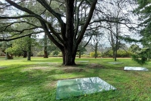 Porto : visite à pied des jardins de Serralves, entre art et architecture