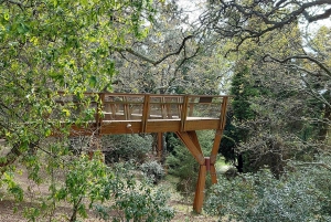 Porto : visite à pied des jardins de Serralves, entre art et architecture