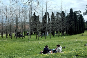 Porto : visite à pied des jardins de Serralves, entre art et architecture