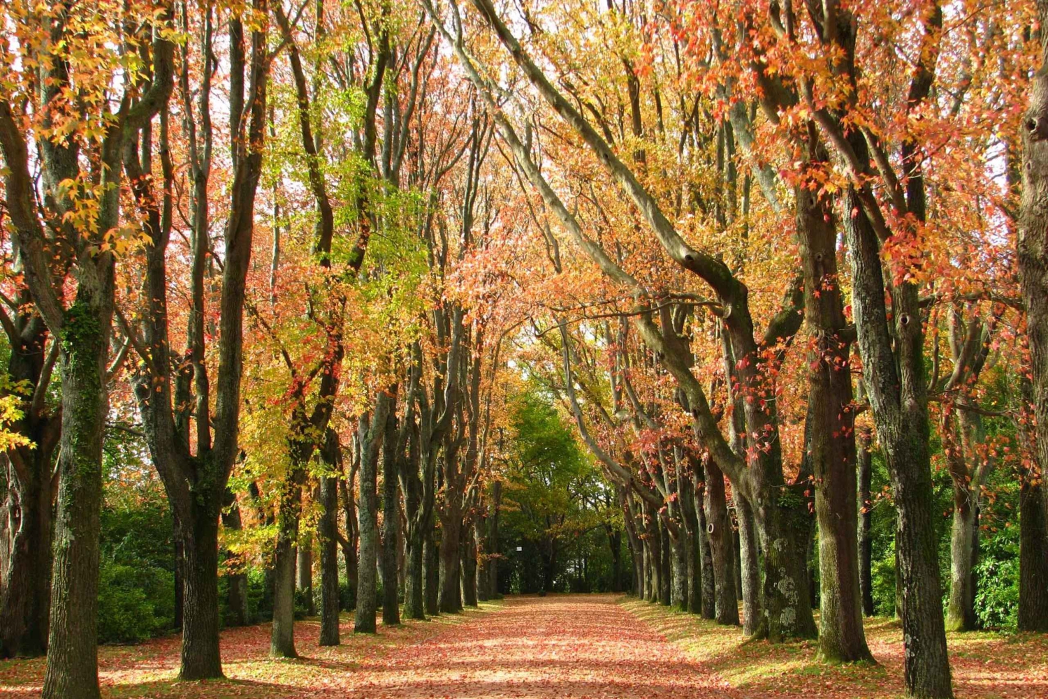 Porto: Biglietto d'ingresso per il parco Serralves