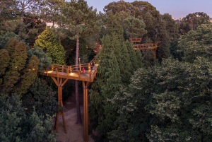 Porto: Billet til Serralves Park