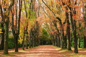 Porto: Billet til Serralves Park