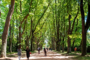 Porto: Billet til Serralves Park