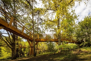 Porto: Billet til Serralves Park