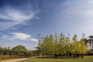 Porto: Billet til Serralves Park