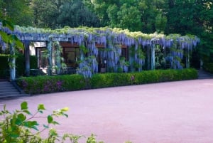 Porto: Billet til Serralves Park