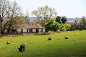 Porto: Billet til Serralves Park