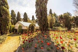 Porto: Billet til Serralves Park