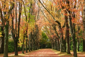 Porto: Biglietto d'ingresso per il parco Serralves