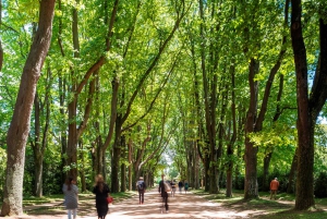 Porto: Biglietto d'ingresso per il parco Serralves