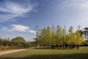 Porto: Biglietto d'ingresso per il parco Serralves