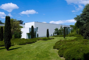 Porto: Biglietto d'ingresso per il parco Serralves