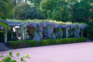 Porto: Biglietto d'ingresso per il parco Serralves