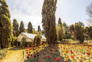 Porto: Biglietto d'ingresso per il parco Serralves