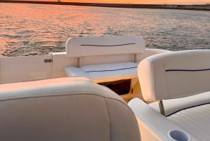 Porto SHARED Boat: Bridges, River Mouth & SUNSET w/ DRINKS