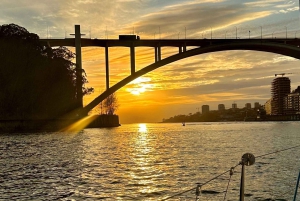 Porto SHARED Boat: Bridges, River Mouth & SUNSET w/ DRINKS