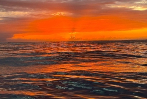 Porto SHARED Boat: Bridges, River Mouth & SUNSET w/ DRINKS