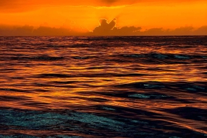 Porto SHARED Boat: Bridges, River Mouth & SUNSET w/ DRINKS